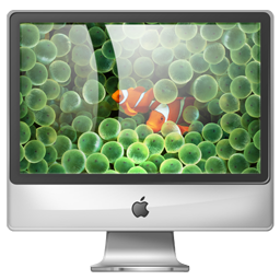 Website Design Should Be