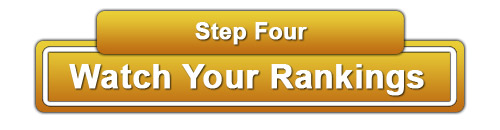 Instant SEO Rankings - ActionwebsiteandSEO.com