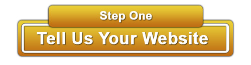 Step One - Instant SEO - Action Website and SEO